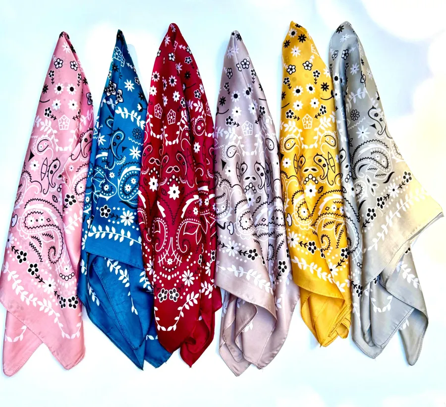Whimsical paisley scarves in six colors